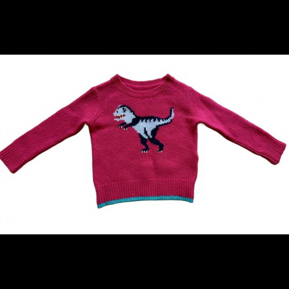 Coach Toddler Cashmere Wool Sweater 12-18M Dinosaur Design